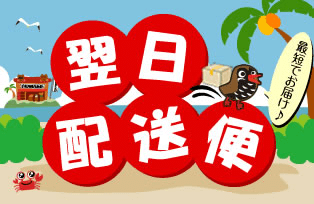 翌日配送便
